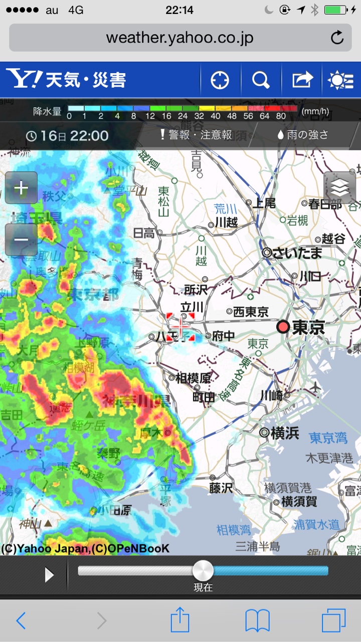 東京の雨