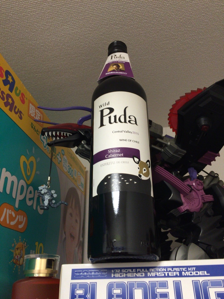 チリの赤ワイン「Puda Shiraz Cabernet（プダ シラーズ カベルネ）2015」