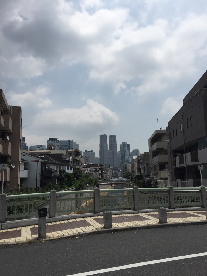中野新橋周辺から新宿を見る