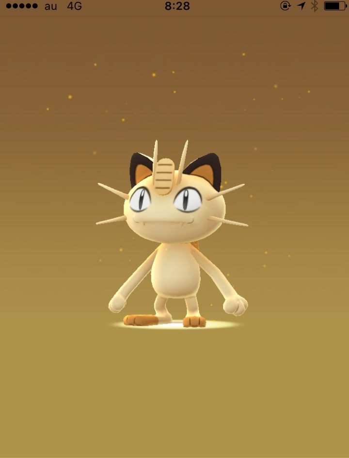 タマゴから孵ったニャース