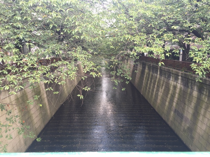 中目黒の目黒川