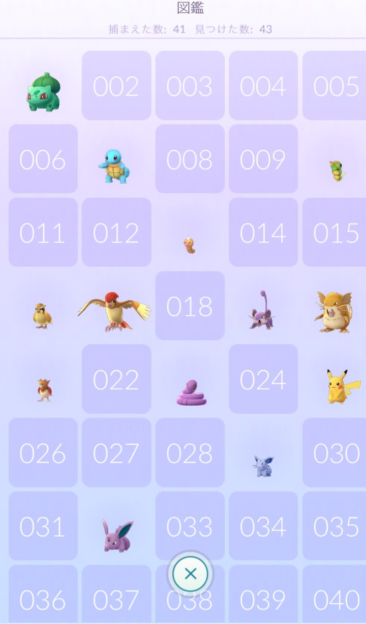 捕まえた数41、見つけた数43