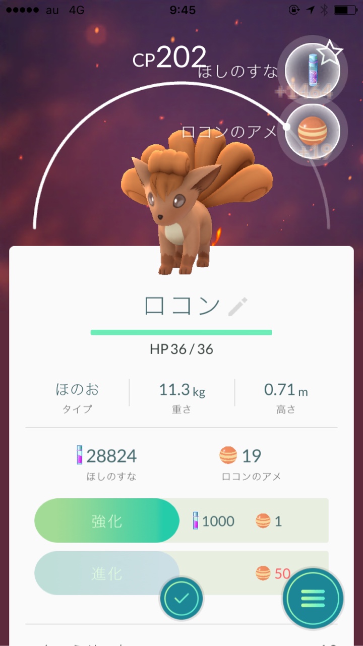 ポケモン ロコン