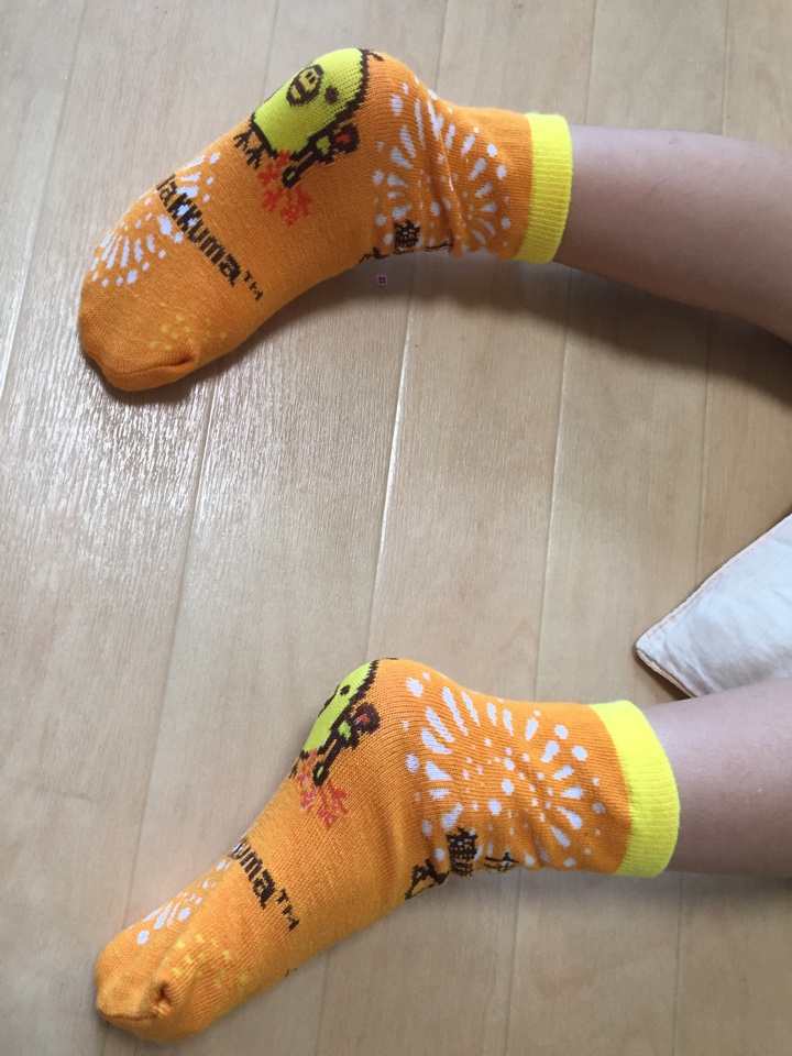 ペットボトルケースの靴下