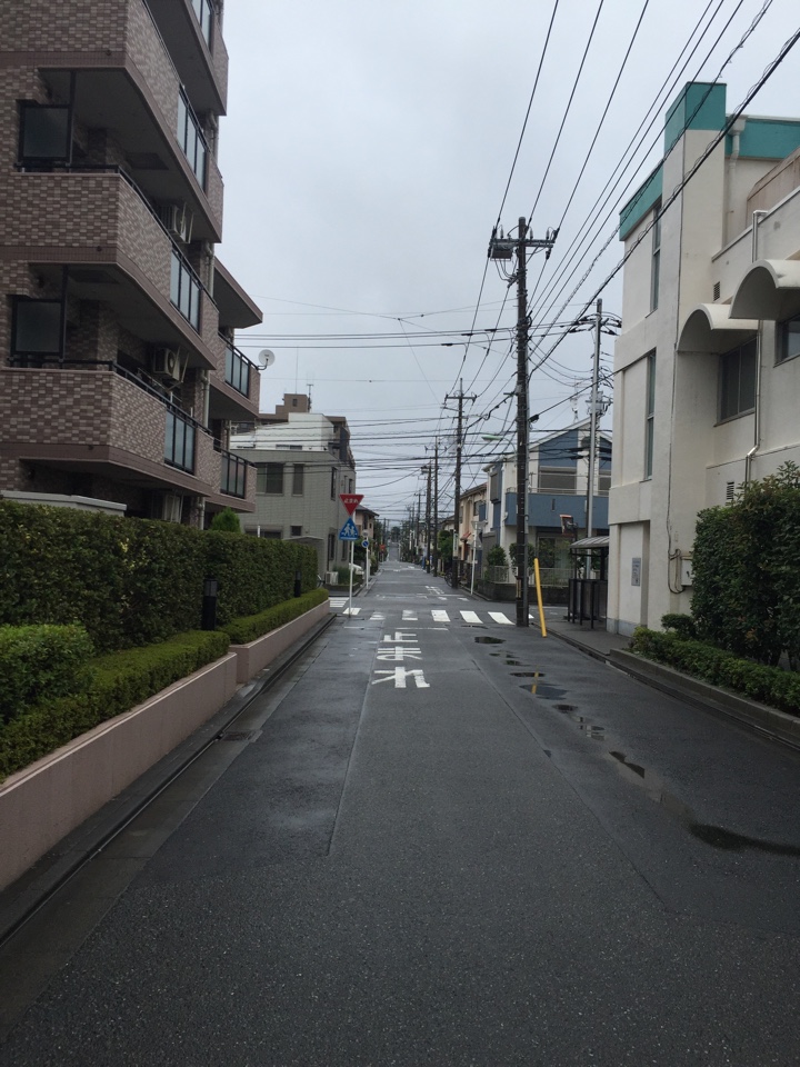 雨は一時的に止みました