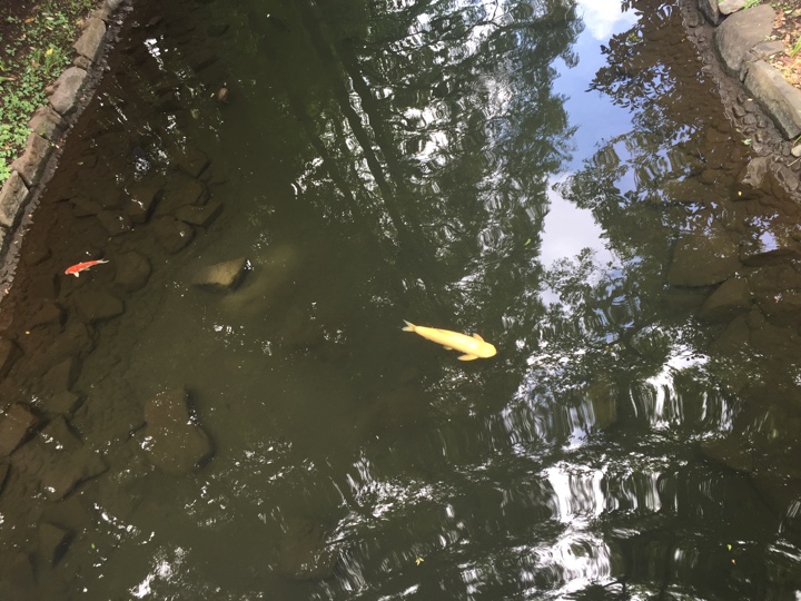 品川区立 戸越公園
