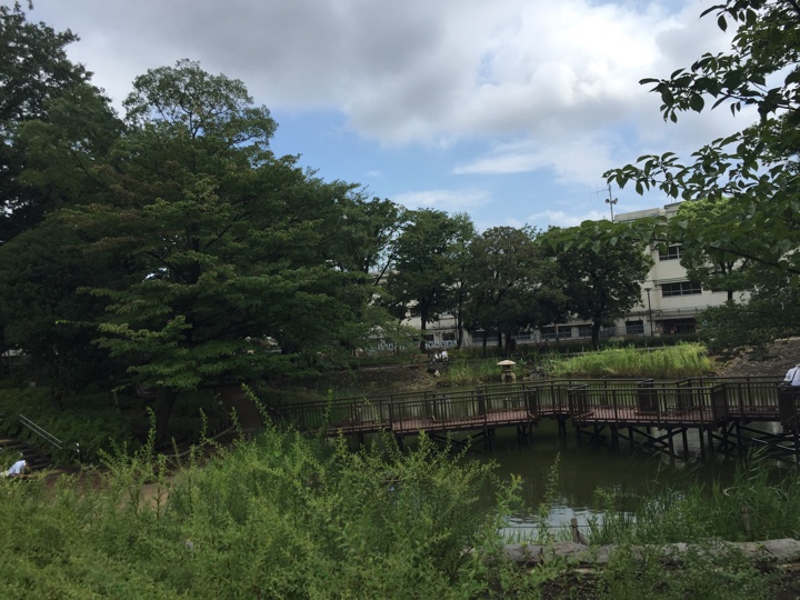 区立 文庫の森