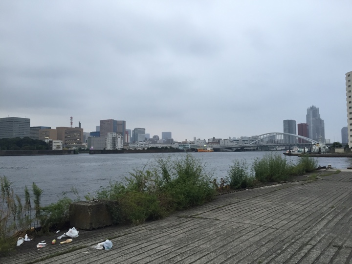勝どき 港 スカイツリーが見えない