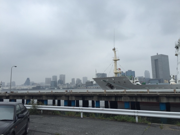 勝どき 港