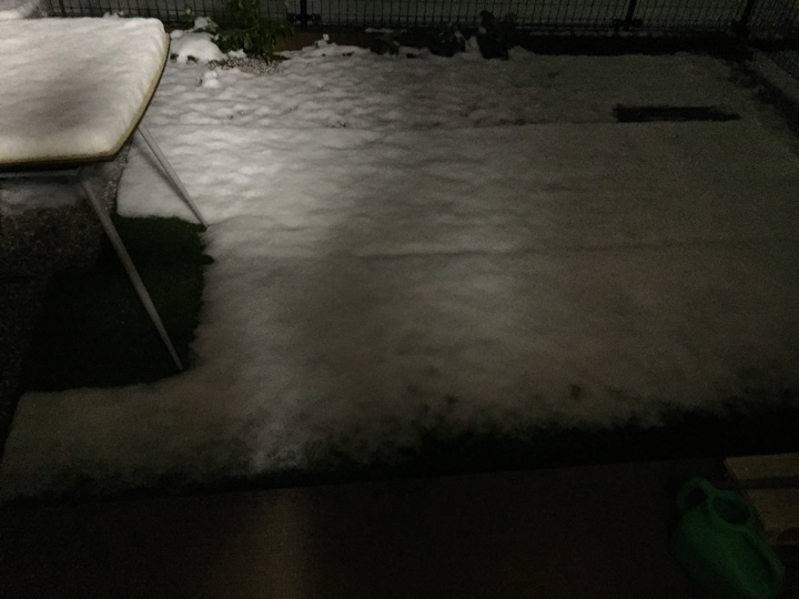 庭の雪