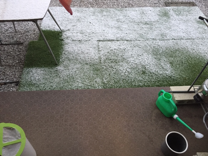 庭の雪