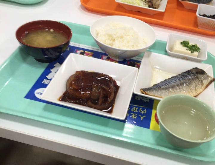 東京大学 銀杏メトロ食堂で定食（ハンバーグと鯖塩焼き）