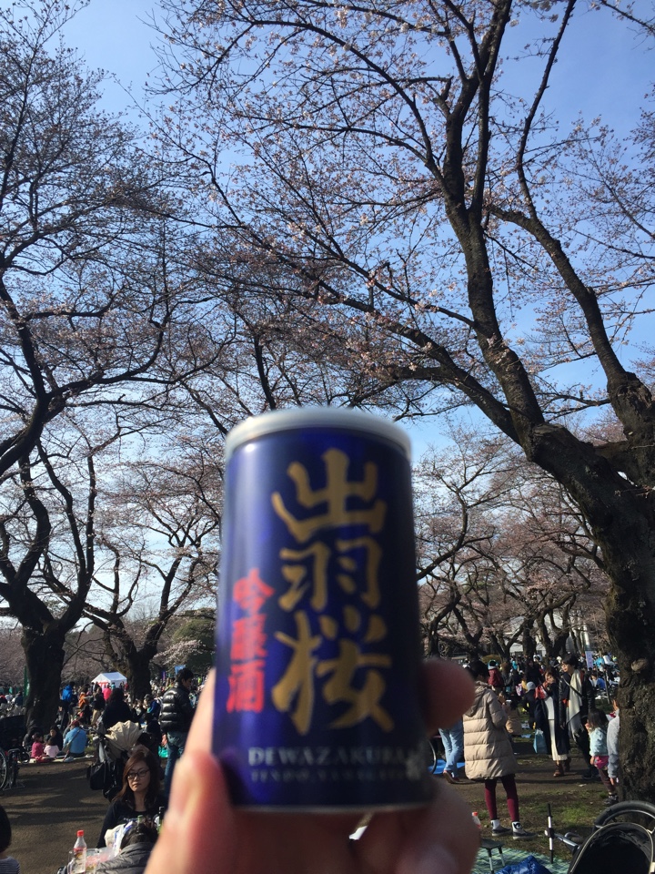 日本酒 吟醸酒 出羽桜