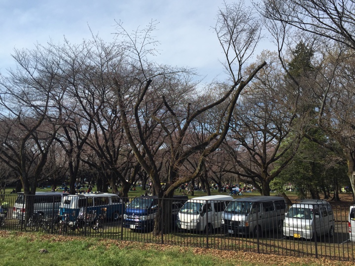 小金井公園