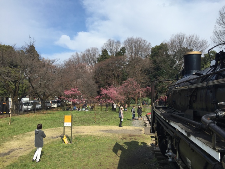 小金井公園SL広場での写真