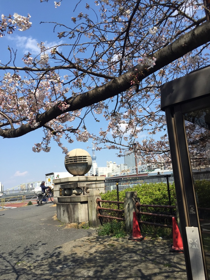 隅田川