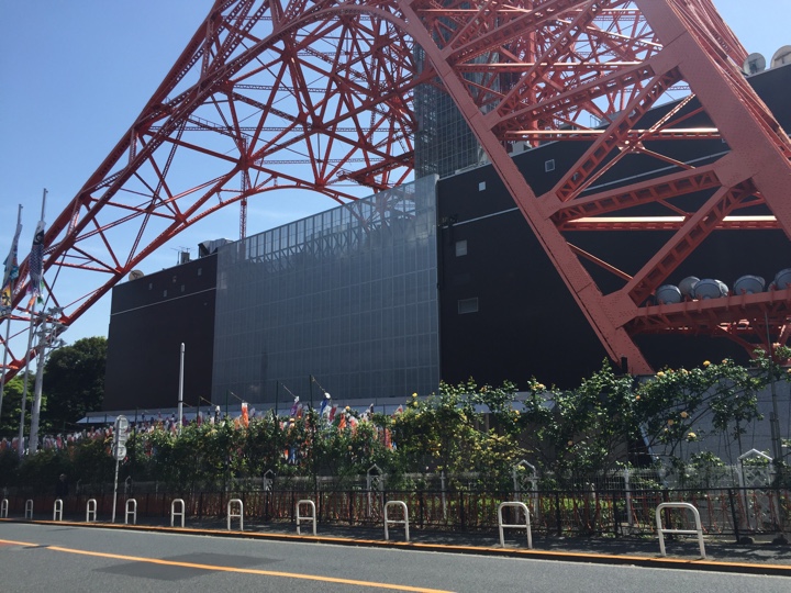 東京タワー下の鯉のぼり