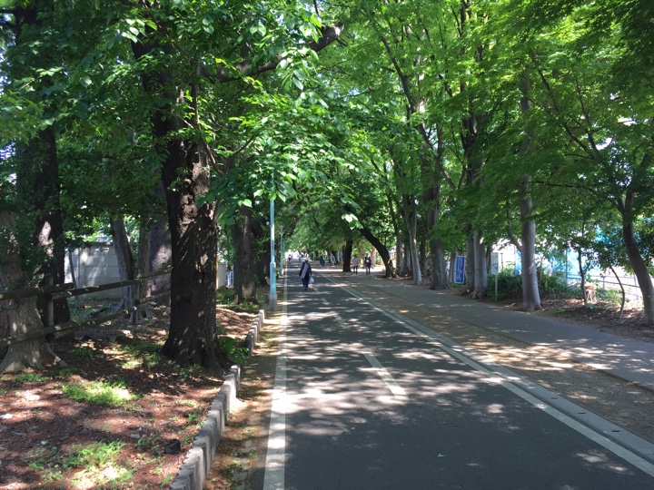 グリーンロード（サイクリングロード）