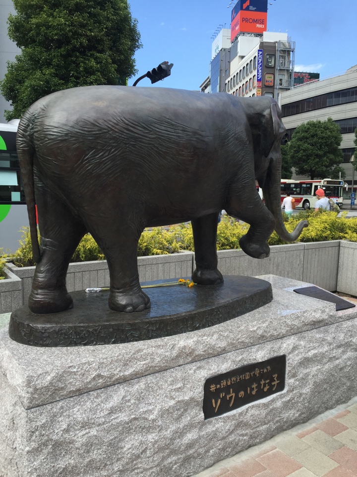 吉祥寺駅北口のゾウのはな子像