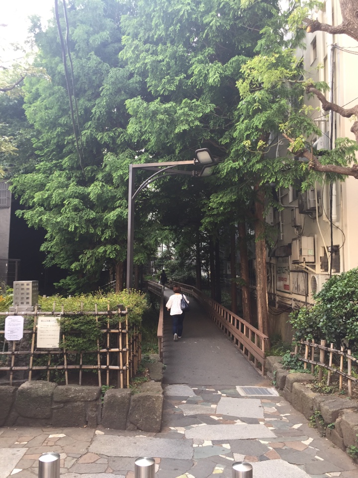 歌舞伎町の緑溢れる通路