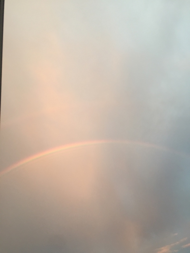 夕方の虹