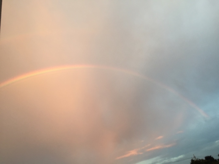 夕方の虹