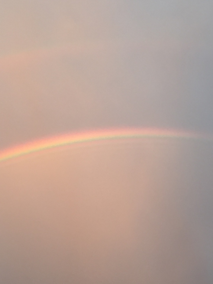 夕方の虹