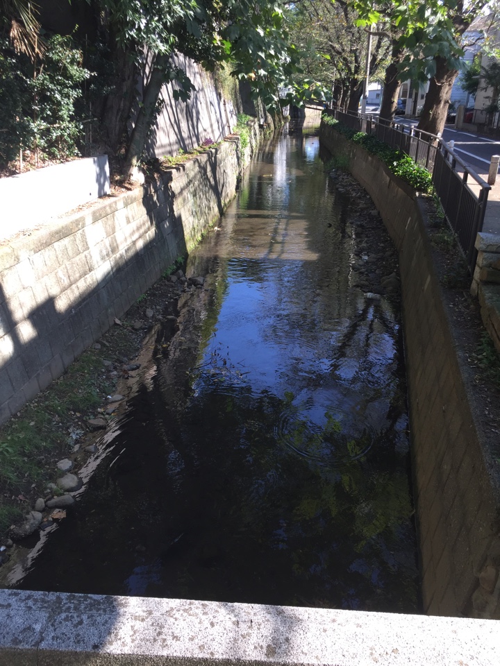 田園調布八幡神社 入口 川の橋