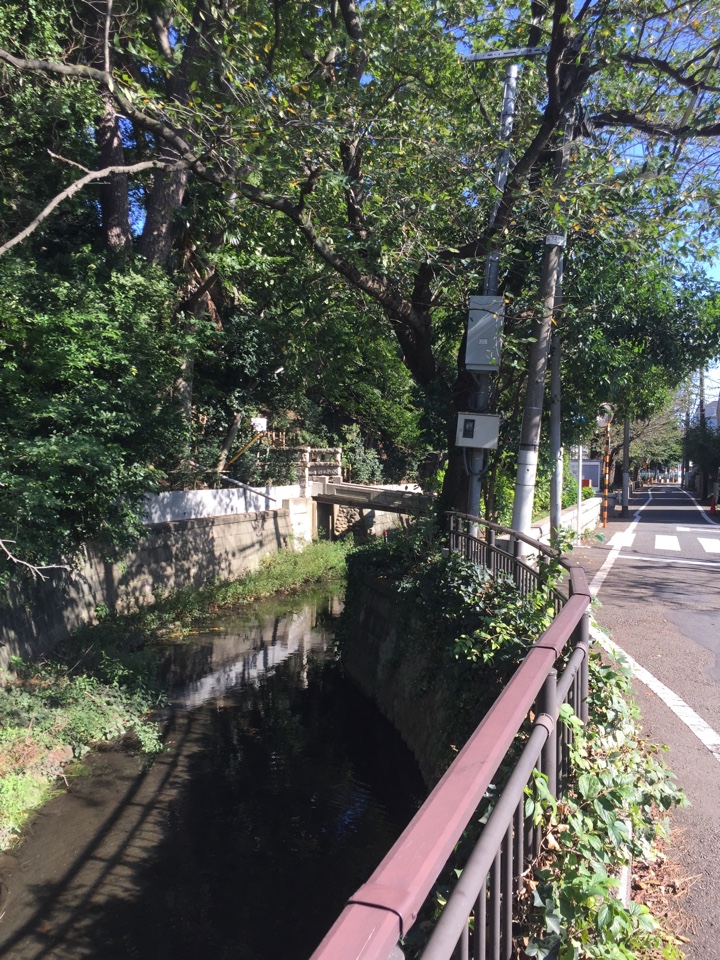 田園調布八幡神社 入口 川の橋