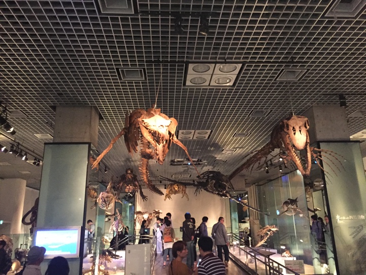 上野恩賜公園 国立科学博物館 地球館地下2階地球環境の変動と生物の進化