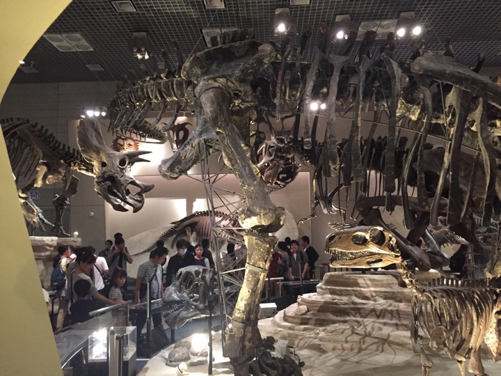 上野恩賜公園 国立科学博物館 地球館地下1階恐竜