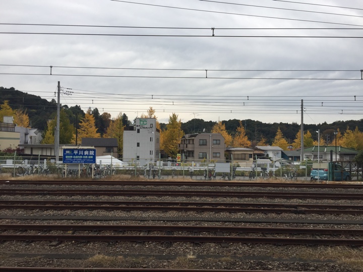 JR中央線 高尾駅ホームからの山の紅葉の様子