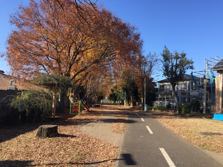 グリーンロード帰り道