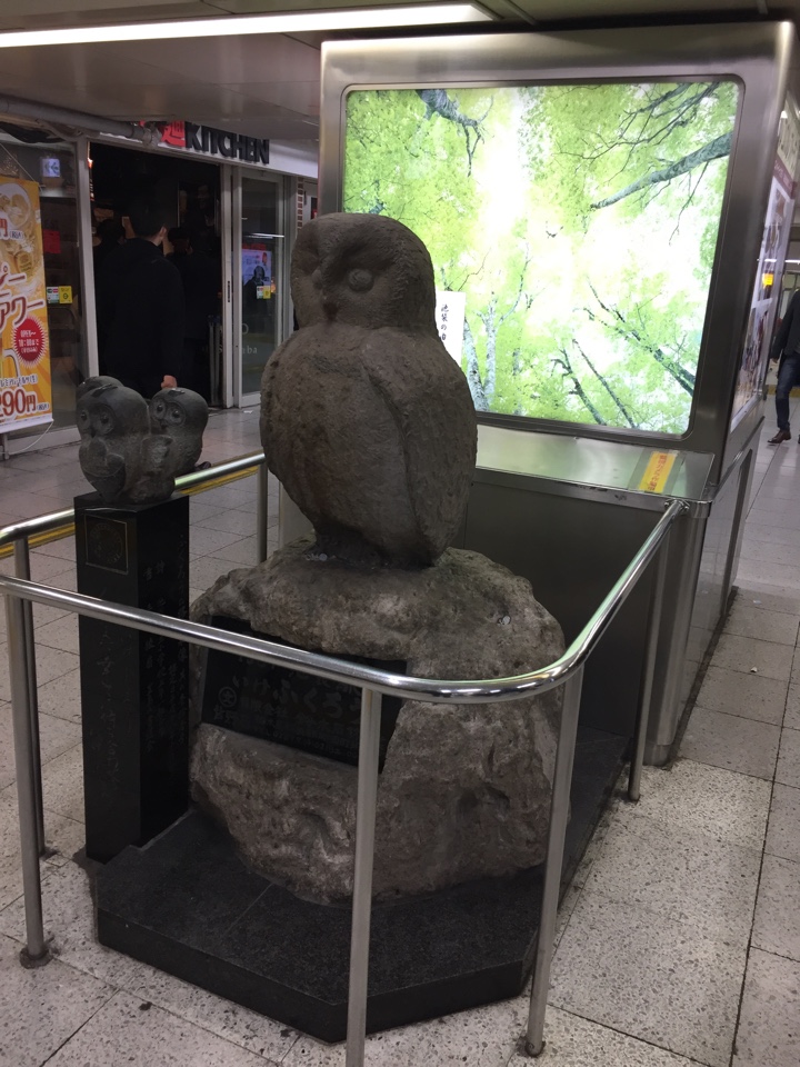 いけふくろう
