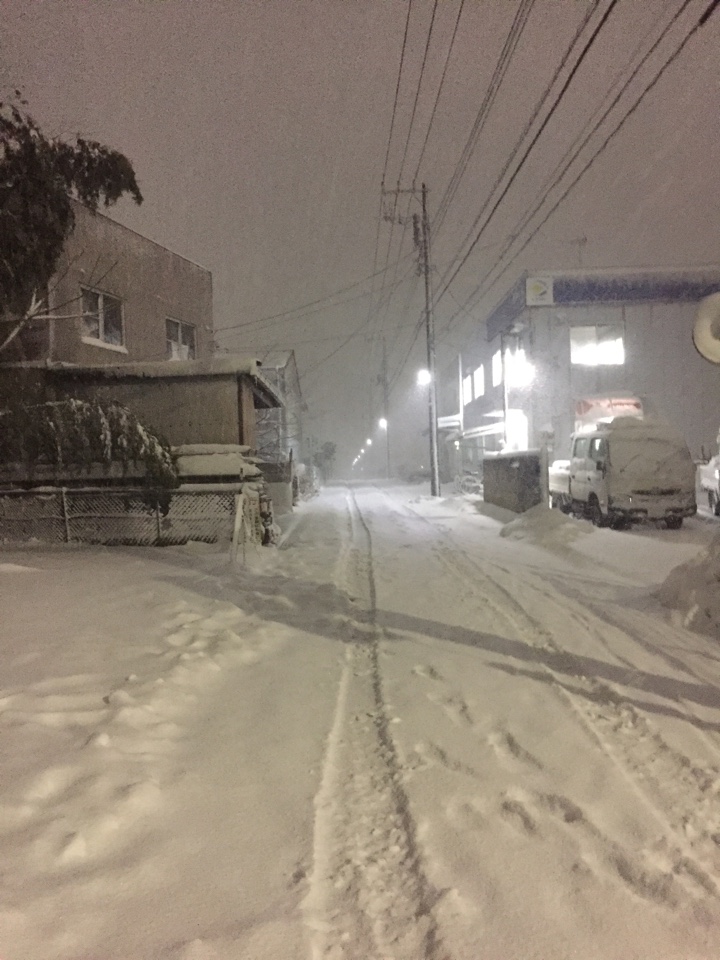 多摩地域（小平市）積雪状況