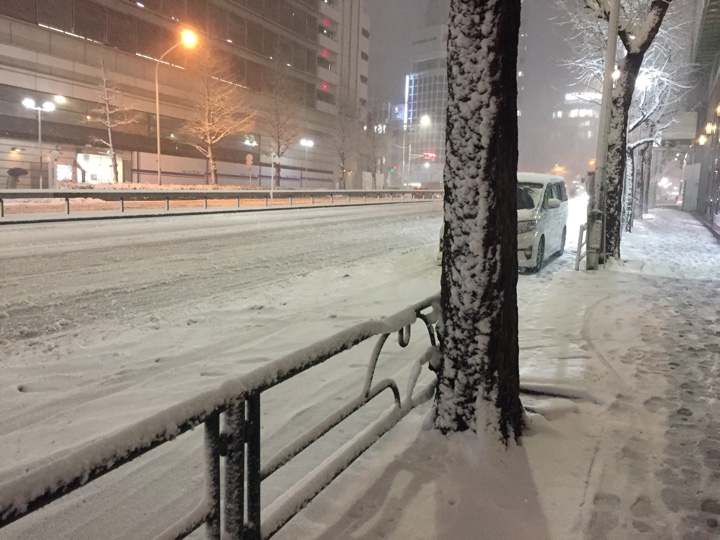 新宿三丁目付近の積雪状況（18時半頃）