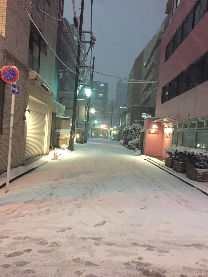 新宿三丁目付近の積雪状況（18時半頃）