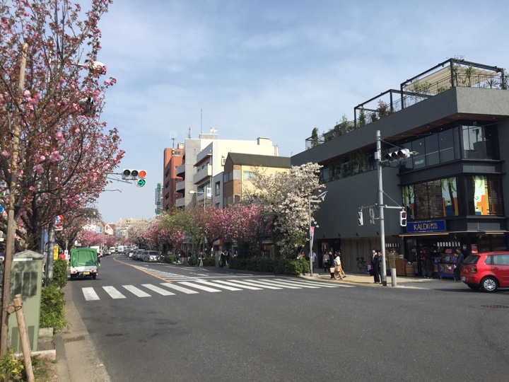 桜新町駅前の桜