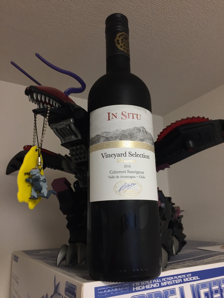 チリ/アコンカグア・ヴァレーの赤ワイン「IN SITU Vineyard Selection CABERNET SAUVIGNON(ヴィーニャ・サン・エステバン イン・サイチュ ヴァンヤード・セレクション カベルネ・ソーヴィニヨン レゼルバ）2016」