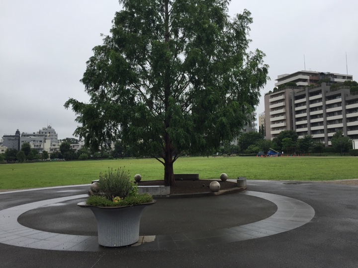 桃井原っぱ公園