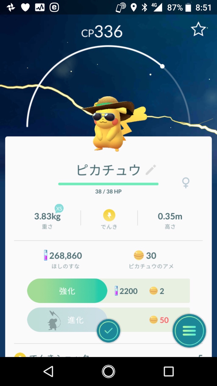 ポケモンGO「サマースタイル」ピカチュウ