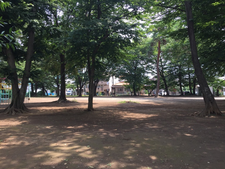 諏訪公園