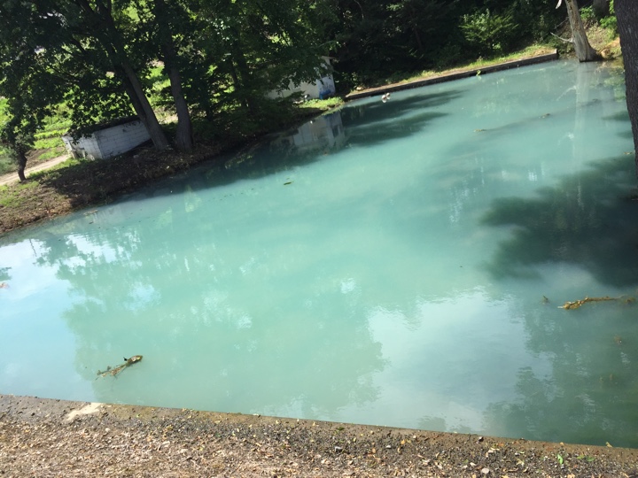 中富良野の青い池？
