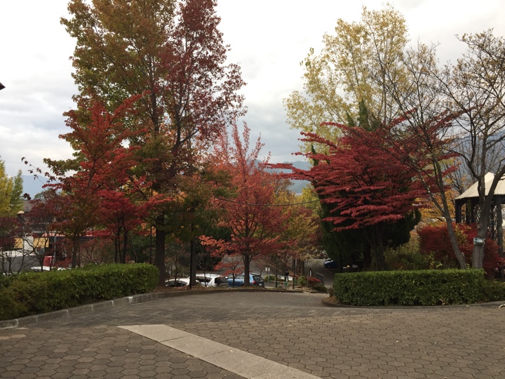 甲州市勝沼ぶどうの丘 紅葉