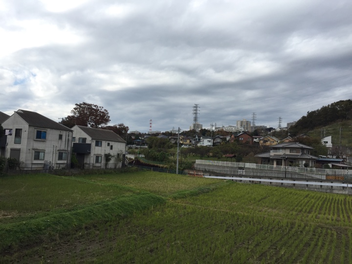 駒沢学園入口周辺の田舎感