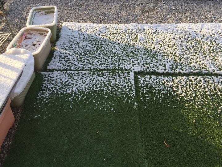 庭の積雪状況