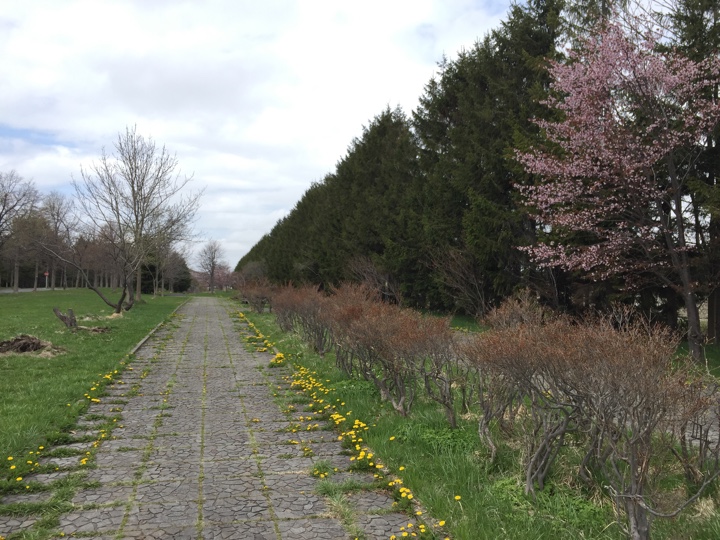 モエレ沼公園入口
