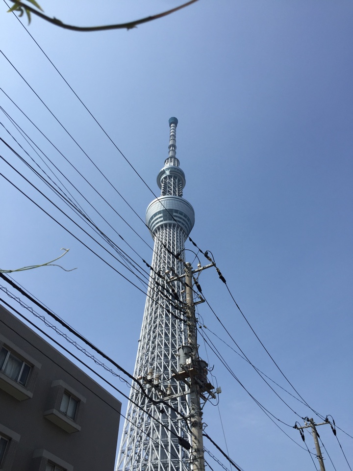 中之郷児童遊園から見たスカイツリー