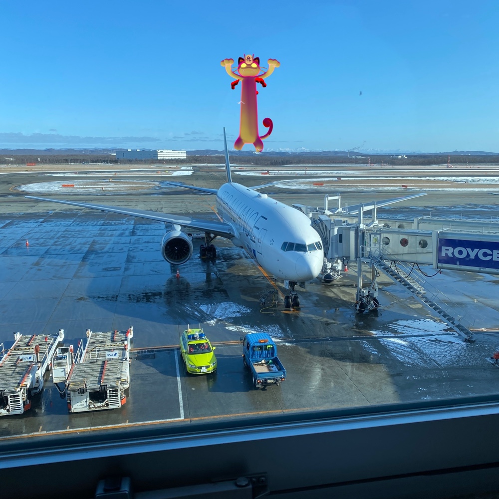新千歳空港でPokémon ダイマックスカメラ(ニャース)