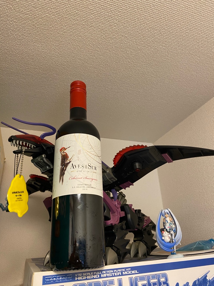 チリの赤ワイン「AVES DEL SUR CABERNET SAUVIGNON（ビカール デル・スール カベルネ・ソーヴィニヨン）2019」